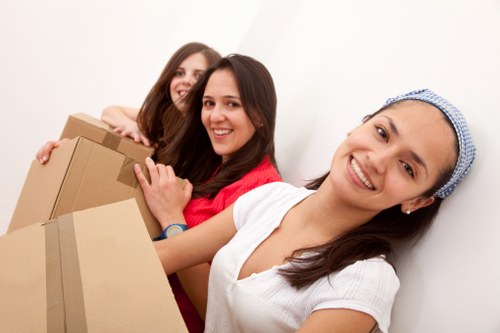 Careful handling of boxes and household items during a Bowespark relocation