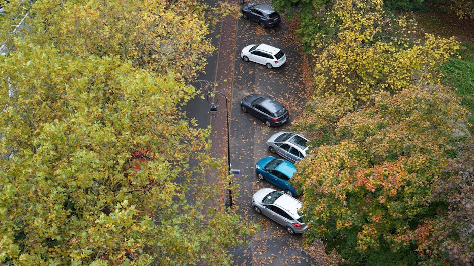 A residential street in Bowes Park shown during the daytime with overcast skies, featuring parked cars lining both sides of the narrow tarmac road. Various vehicles, including small delivery vans and private cars, are parked close to the pavement edge. In the foreground, a green cover is draped over a large item being prepared for loading, possibly furniture or boxes used for home relocation. The street is bordered by terraced houses with brick facades, pitched roofs, and small front gardens with trees and shrubs, some displaying autumn foliage. In the background, a large leafy tree dominates the scene, and overhead power lines stretch above the street. This setting illustrates typical logistical considerations for local removals, with vehicles and packing materials positioned for furniture transport and home packing during a move, as managed by companies like Man with Van Bowes Park.