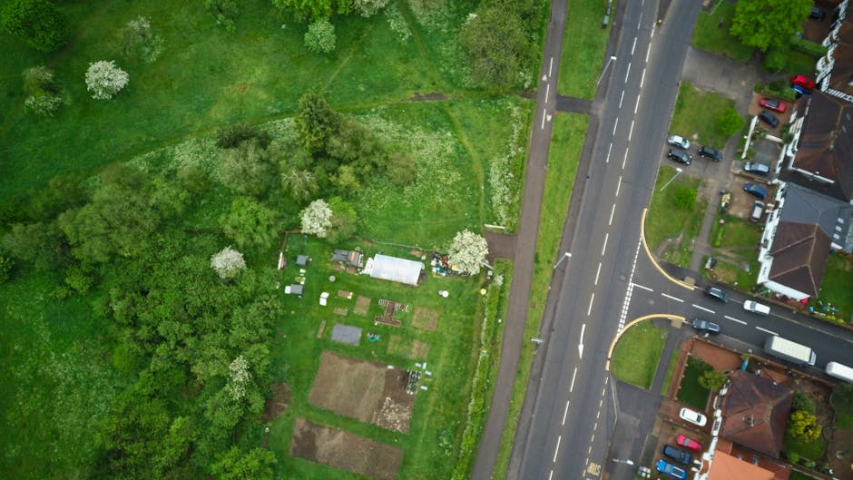 Aerial black-and-white photograph of a park on Bounds Green Road in Bowes Park, showing a circular central area with walking paths radiating outward through a wooded landscape with numerous leafless trees. To the left side of the image, residential houses and parked cars are visible along the street. The park features a small body of water on the right, bordered by dense trees, and the surrounding area includes a mix of open grassy sections and tree-lined pathways. This image highlights the natural environment within the urban setting, relevant to house removals and moving services provided by Man with Van Bowes Park, as part of their home relocation and furniture transport logistics.