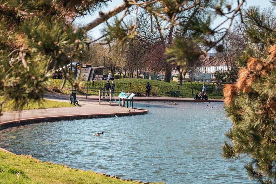 A park scene viewed through tree branches, featuring a rectangular pond with a few ducks swimming on the water's surface, surrounded by a paved walkway. In the background, there are several people walking and sitting on benches, some engaged in conversations or enjoying the scenery. Behind the park, there are trees with blooming or leafless branches, a small hill with a black metal fence, and residential houses partially visible beyond the foliage. The scene is illuminated by natural daylight, with clear weather and a peaceful, urban park atmosphere. This image relates to the residential area where house removals or relocation services, such as those provided by Man with Van Bowes Park, may be relevant during home relocation or moving processes involving outdoor surroundings.