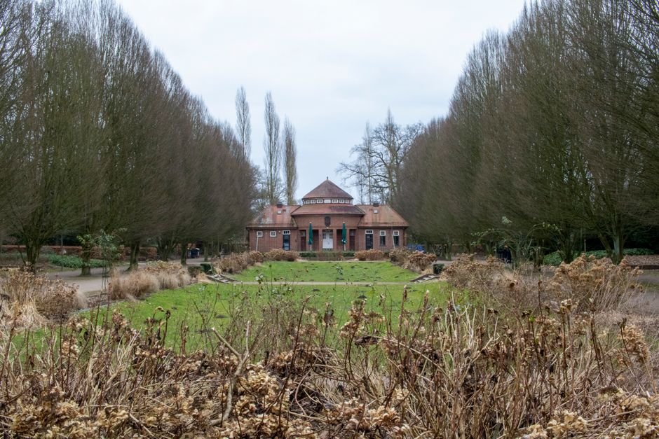 A wide view of a large brick building set in a landscaped park with a central lawn, surrounded by tall, leafless trees on either side. In the foreground, there are dried, brown plants and shrubs, with a gravel pathway leading toward the building. To the right, a black van with a man and woman loading or unloading furniture and cardboard boxes covered in plastic wrap or blankets. The scene is well-lit with natural daylight, suggesting daytime, and captures the moving or home relocation process with furniture being transported outdoors as part of a house removal service, exemplified by Man with Van Bowes Park. The environment appears calm, with clear space on the pavement for loading, and the building serves as the backdrop for the furniture transfer, highlighting the logistics involved in house moves and the packing and loading process.