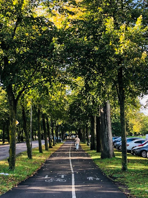 A tree-lined pavement with a designated cycling lane, featuring a row of mature trees with green foliage providing shade, and a person walking in the distance during daytime. To the right side of the pathway, there is a parking area with several parked cars. The scene is well-lit with natural sunlight filtering through the leaves. This setting is part of a residential or urban area suitable for house removals and moving services, with clear pathways for pedestrian and bike movements. The image emphasizes the accessibility and organisation of the local environment, relevant to home relocation activities facilitated by Man with Van Bowes Park, particularly highlighting the importance of planning access and parking for efficient furniture transport and packing during house moves.