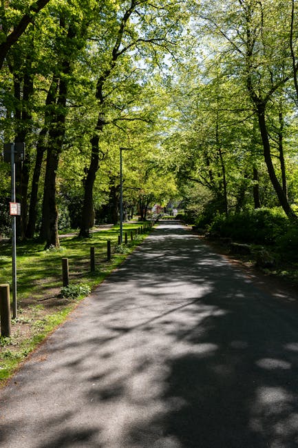 A narrow residential street in Bowes Park lined with tall, leafy trees casting shadows onto the asphalt pavement. On the left side of the road, there are wooden posts and a small sign, with well-maintained grass and shrubs separating the pavement from the trees. The scene suggests a peaceful area suitable for house removals and home relocation processes, with no vehicles or moving equipment visible but an environment conducive to loading and carrying furniture or boxes for local moves. The dappled sunlight filtering through the trees indicates a clear day, and the scene is representative of a typical access route used by Man with Van Bowes Park during furniture transport and packing and moving activities.