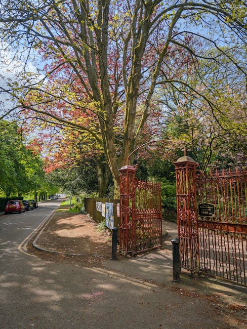 A tree-lined pavement with a designated cycling lane, featuring a row of mature trees with green foliage providing shade, and a person walking in the distance during daytime. To the right side of the pathway, there is a parking area with several parked cars. The scene is well-lit with natural sunlight filtering through the leaves. This setting is part of a residential or urban area suitable for house removals and moving services, with clear pathways for pedestrian and bike movements. The image emphasizes the accessibility and organisation of the local environment, relevant to home relocation activities facilitated by Man with Van Bowes Park, particularly highlighting the importance of planning access and parking for efficient furniture transport and packing during house moves.